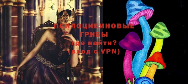 твердый Алзамай