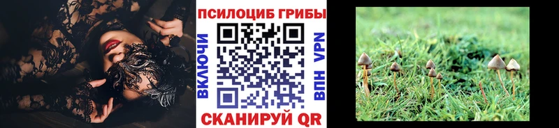 kraken маркетплейс продажа наркотиков Красноуральск Галлюциногенные грибы ЛСД